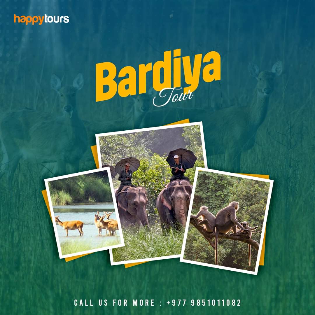 0-02-03-ea8f3d2423f28e1525de0b6533f624d0579257c938b719acc0378b7babd6d5bc_43308f82beda0c68